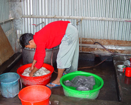 Managing the softening (red container) and the fixing (green container) agents.