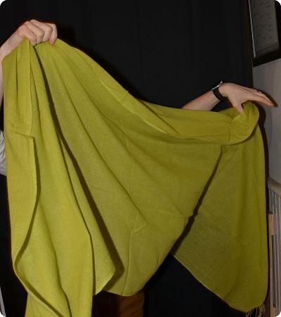 Sunrise Pashmina Bright Leaf Green (VIS #Sft-161) full-size 100% pashmina shawl
